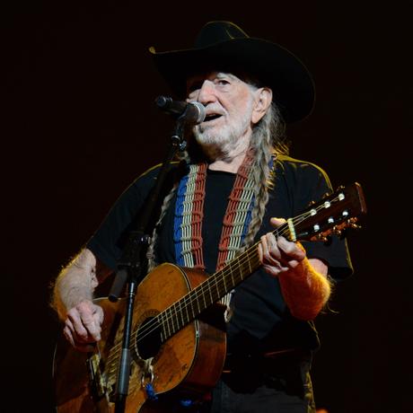Willie Nelson's 4th of July Picnic and Fireworks