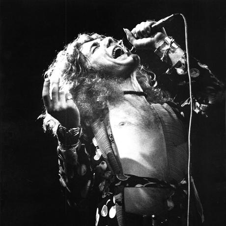Robert Plant