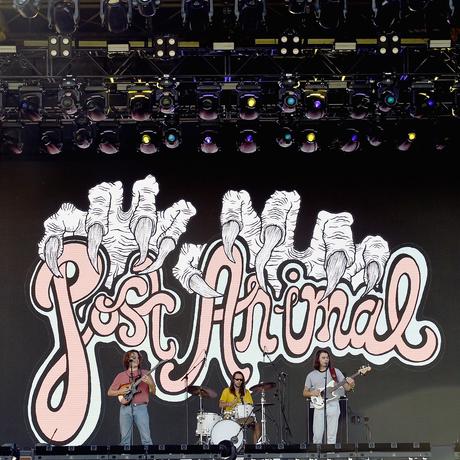 Post Animal (21+ Event)