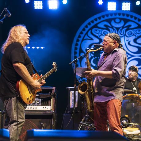 Govt Mule