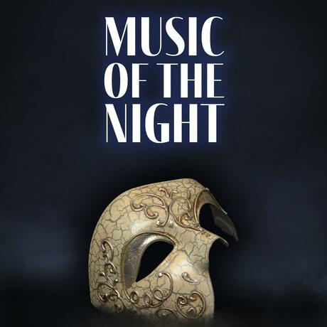 Music of the Night - The Concert Tour