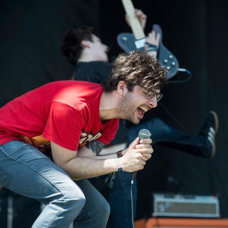 Foxing